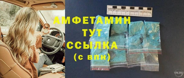 прущие грибы Осташков