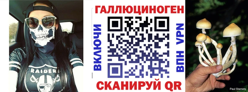 закладки  Заринск  Галлюциногенные грибы мухоморы 